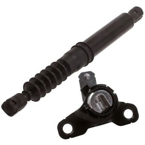 Best-Selling Leak-Proof Tailgate Shock Damper Assembly fit for Ford F-150 2015 2016-2018 FL3Z99406A10A