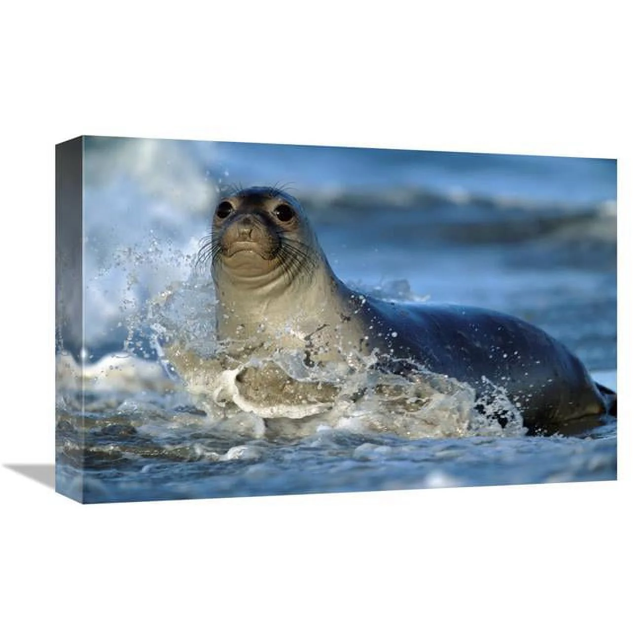 mart-item-img_6a5e24ab46c903.54830644-154