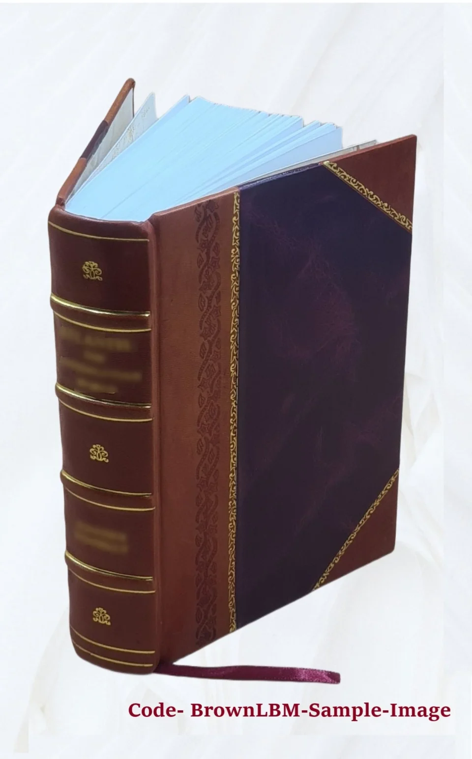 Polished El movimiento sindical argentino; su ge?nesis y desarrollo 1960 [Leather Bound]